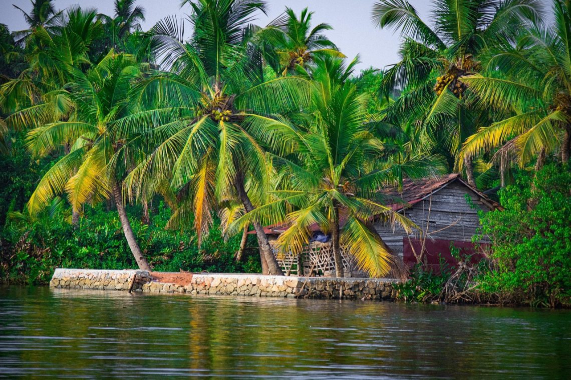 7 days kerala backwater tour