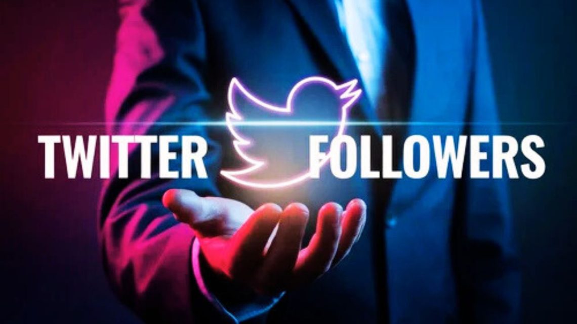 twitter-followers-panel
