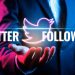 twitter-followers-panel